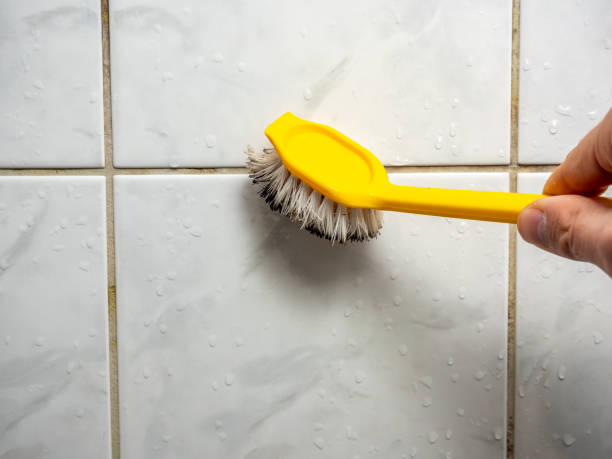 Best Residential Mold Remediation in Healdton, OK