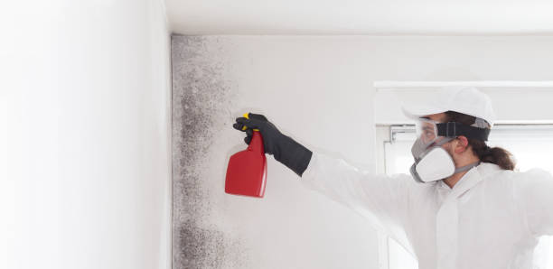 Best Industrial Mold Remediation in Healdton, OK